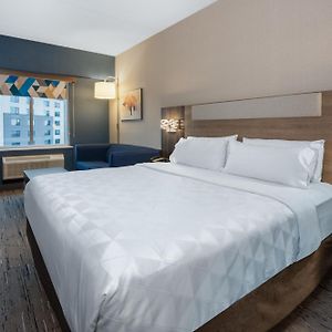 Standard King Room Sofa Bed